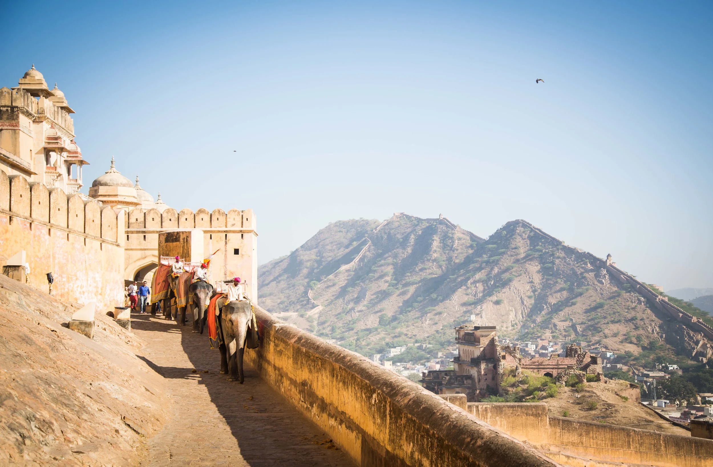 India - Final-212.jpg