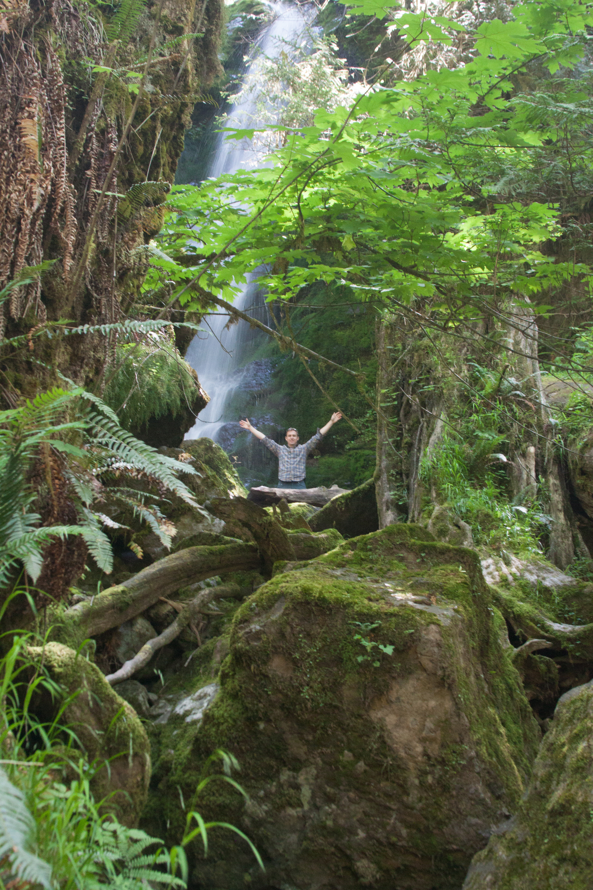 Exploring the forests of the Olympic Peninsula 