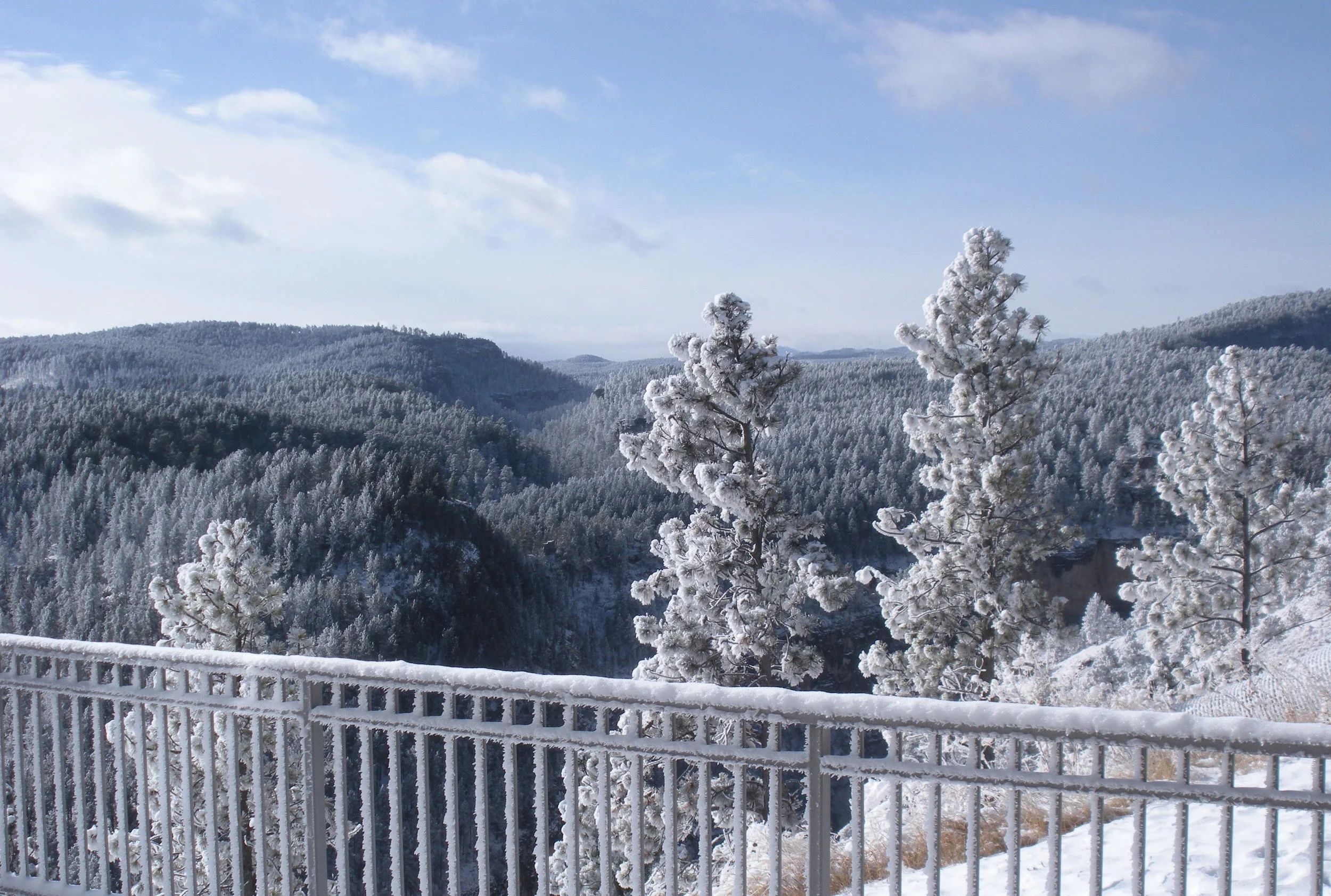 DSCN5920.JPG