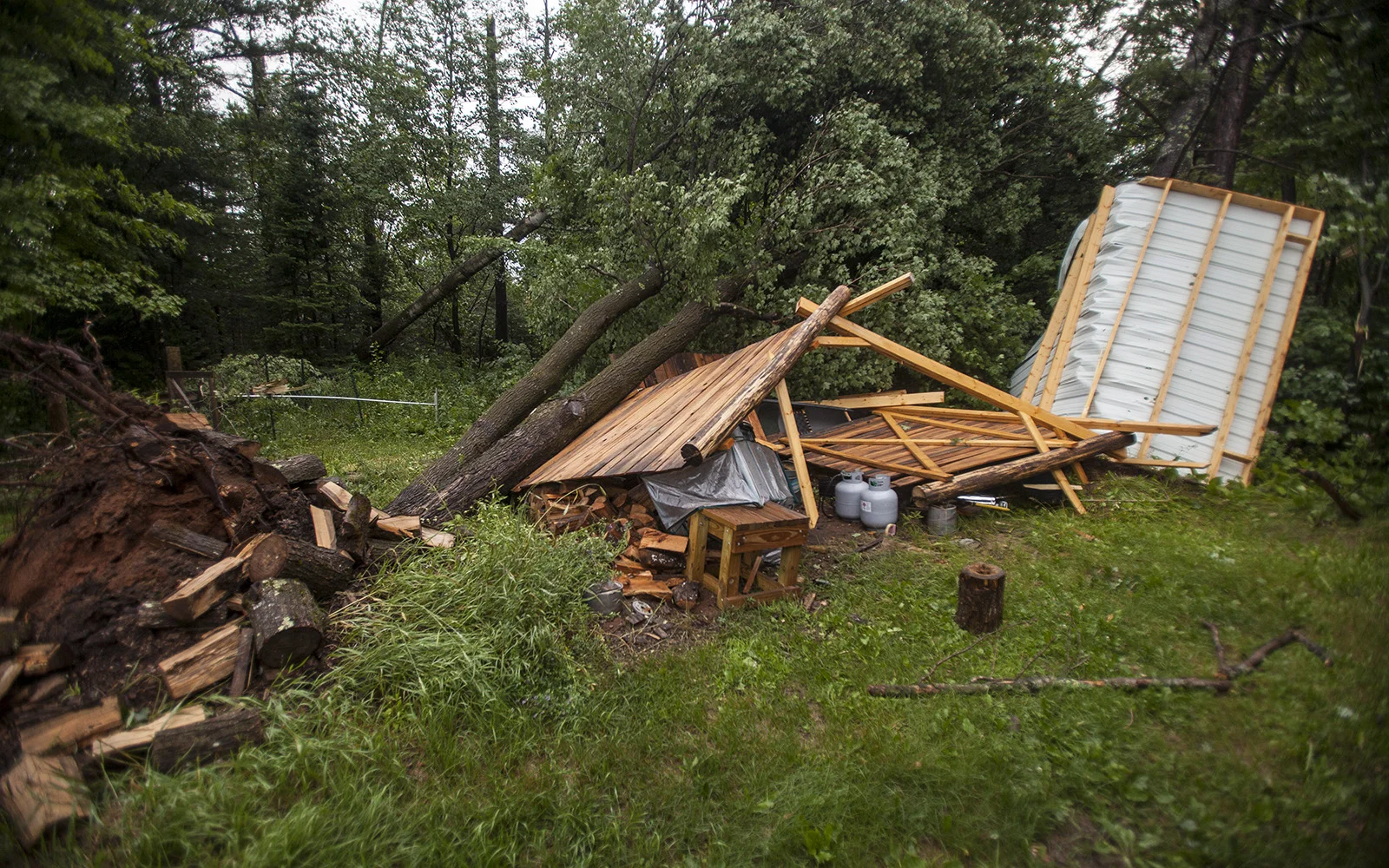 Woodshed.jpg