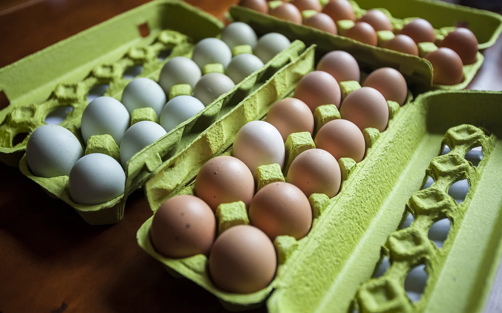 We totally forgot to take a photo of this year's eggs before we sent them off to school, but these are last year's eggs on their way to the classroom. The best part: some of these eggs, hatched in the classroom last year, returned to Defiant Field Farm and grew up to be the hens that laid this year's hatching eggs.
