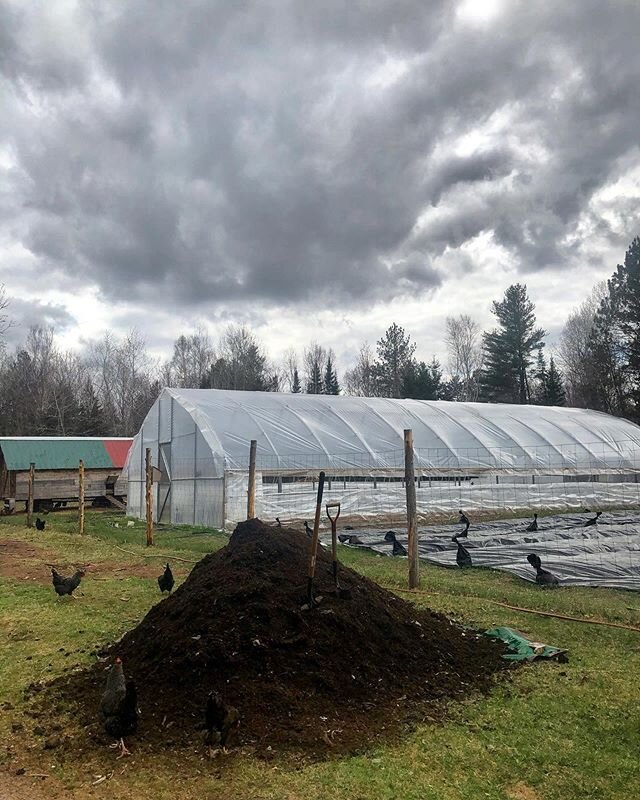 Excited to get this compost on the field this weekend. Thanks @nc_foodcenter  for taking food waste and turning it into black gold.