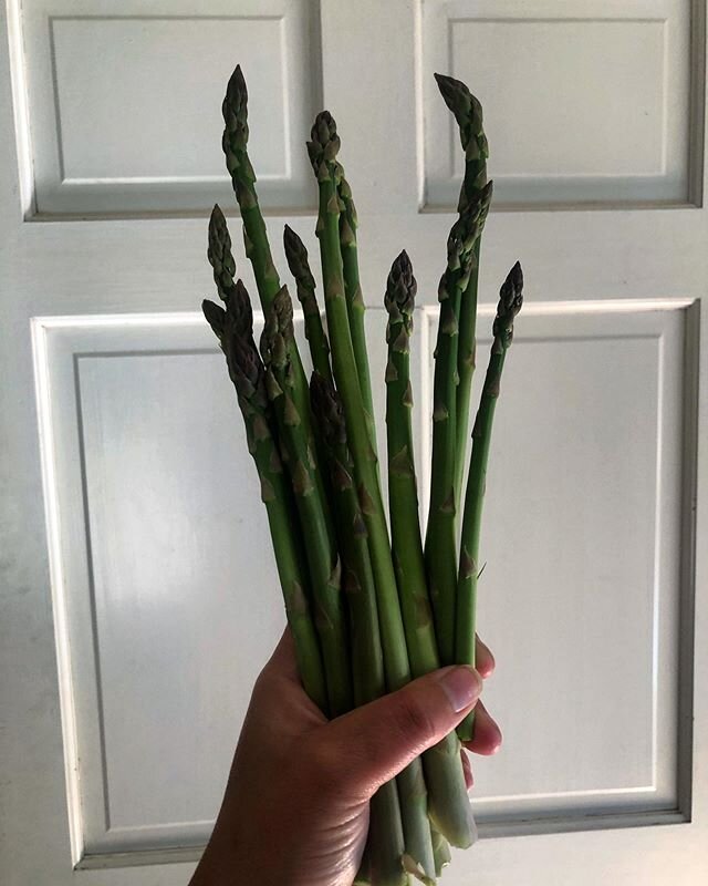 Finally! #hopefullymuchmoretocome #defiantproduce #asparagusseason