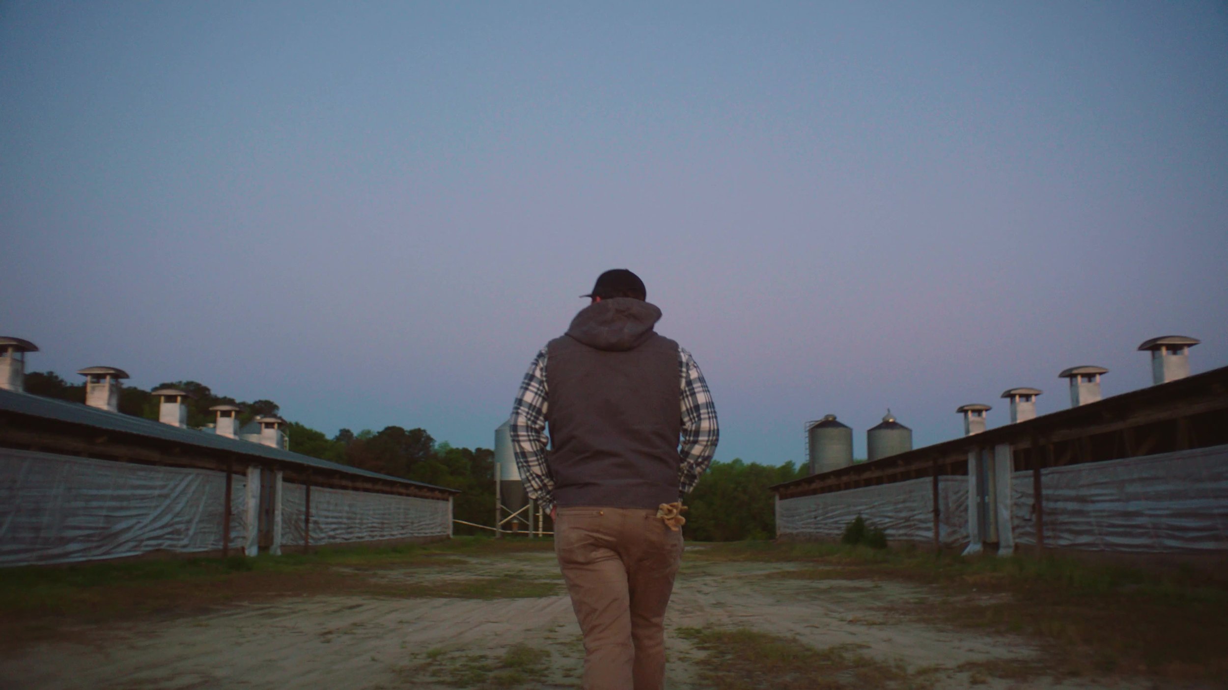 frame_810.jpg