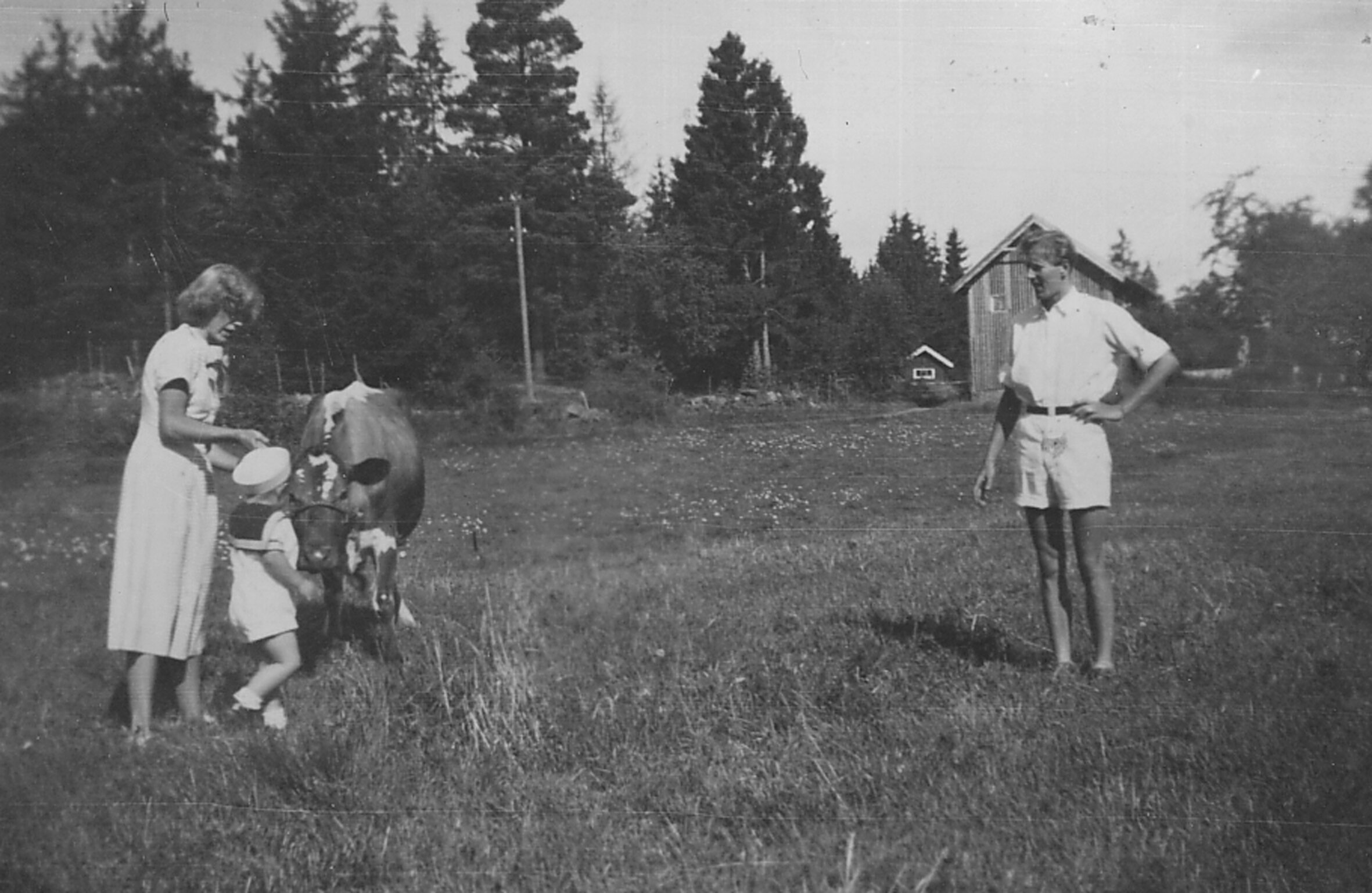 Halvorsenfamiliens røde album