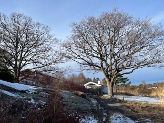 Politikermøte og Medlemsmøte/vårdugnad