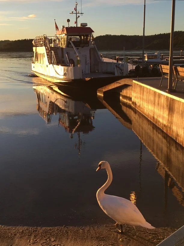 Jutøya Trenger Hjelp