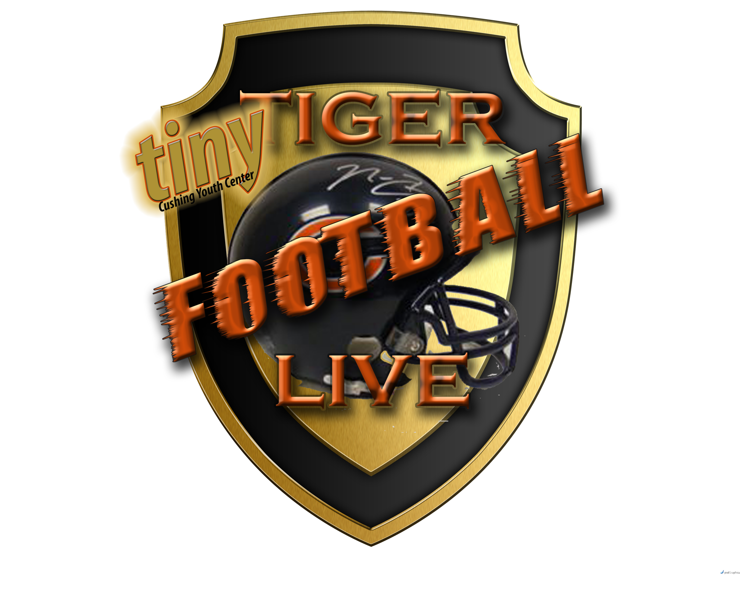 Coverage of the 2016 Playoof for 3rd, 4th & 6th grades, begins Satuirday Oct. 30th @12:45pm.