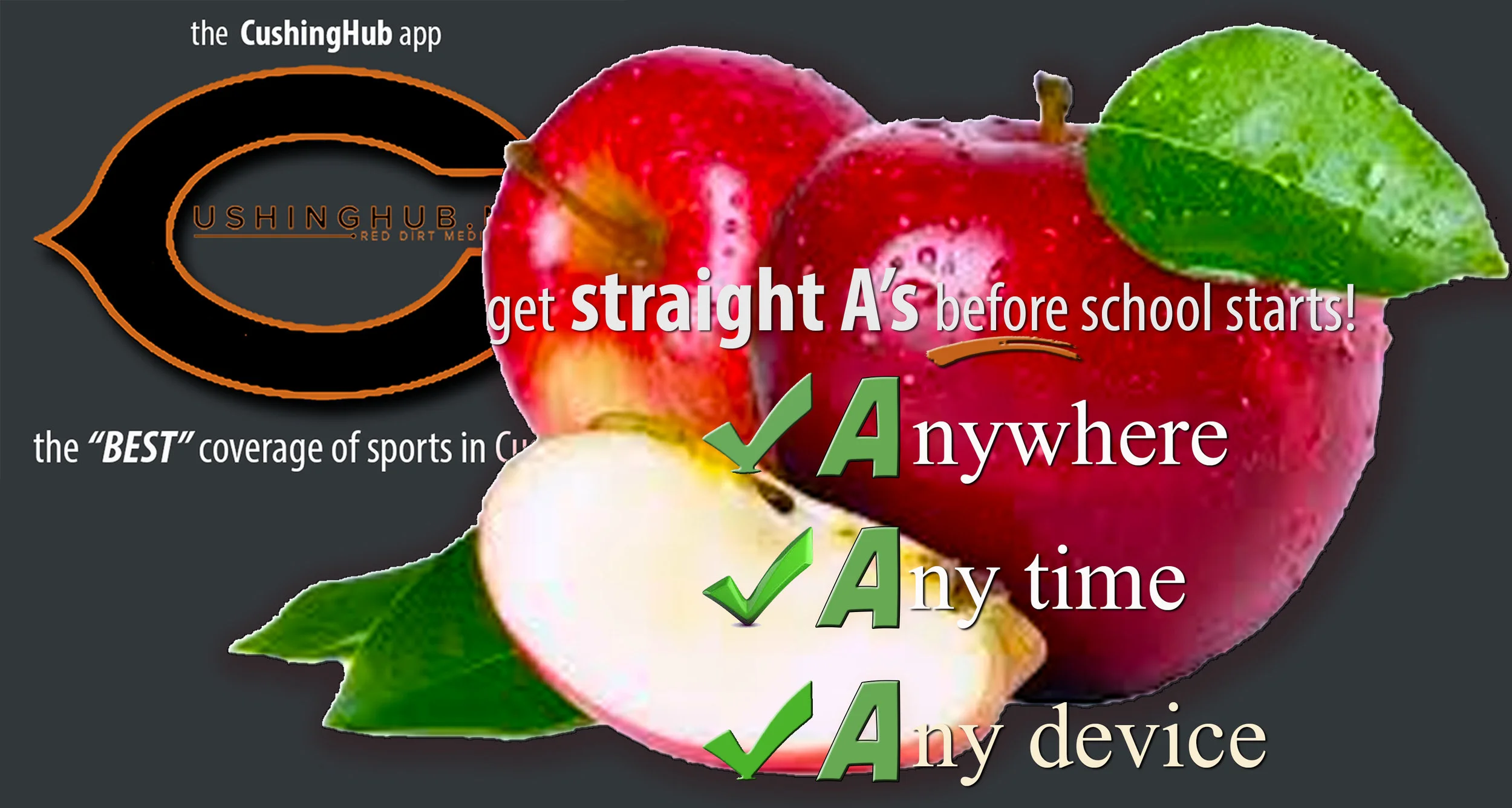 All A s Graphic 2017.jpg