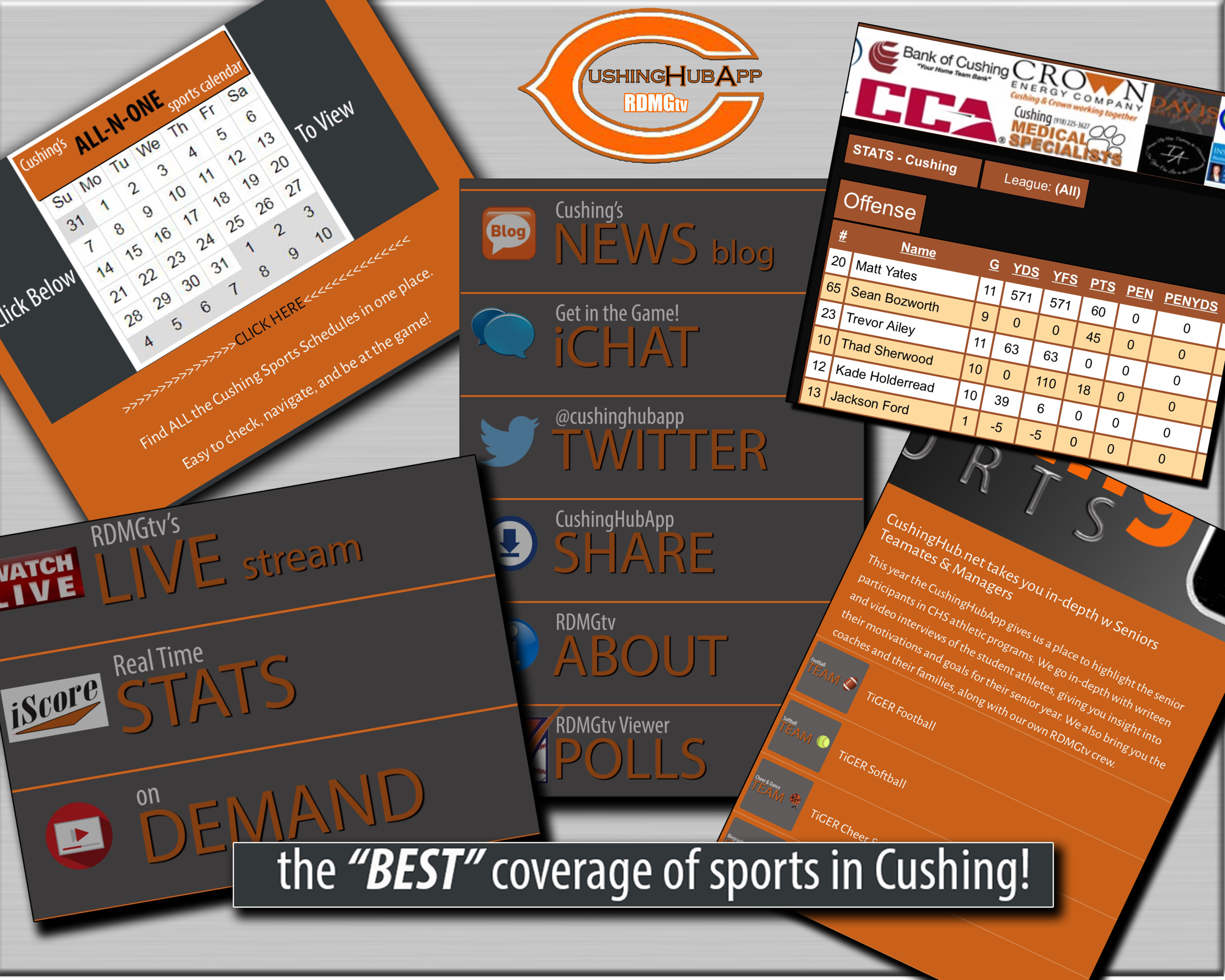 Screen Shots of App V1 Live On Demand Stats Cal.png