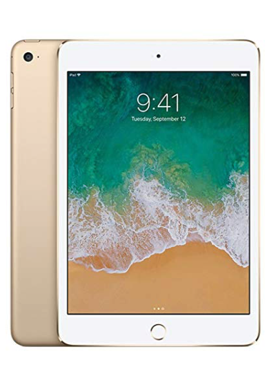 iPad Mini GRDA Grand Prize 2018 19.png