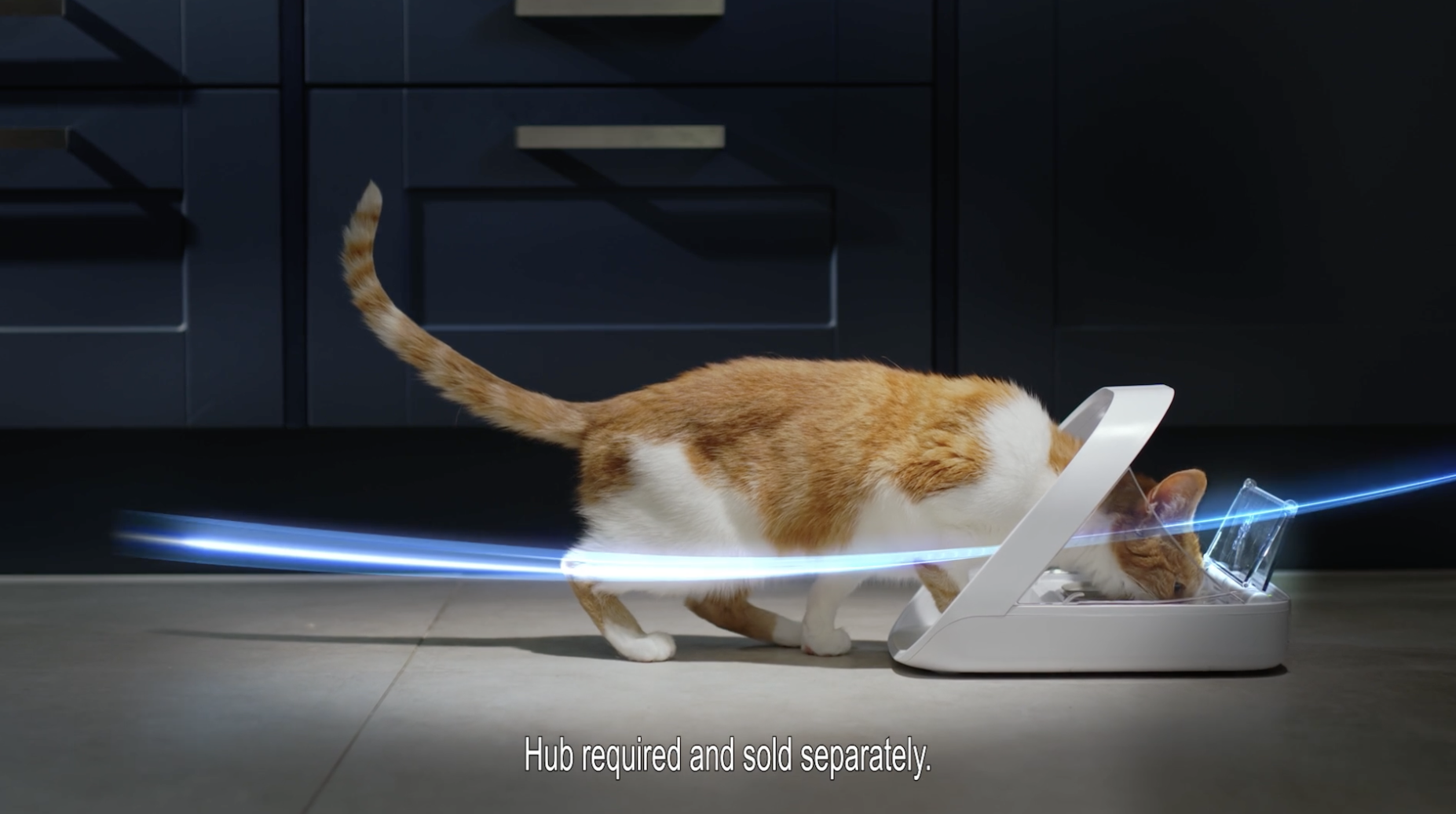 Sure Petcare 30' TVC