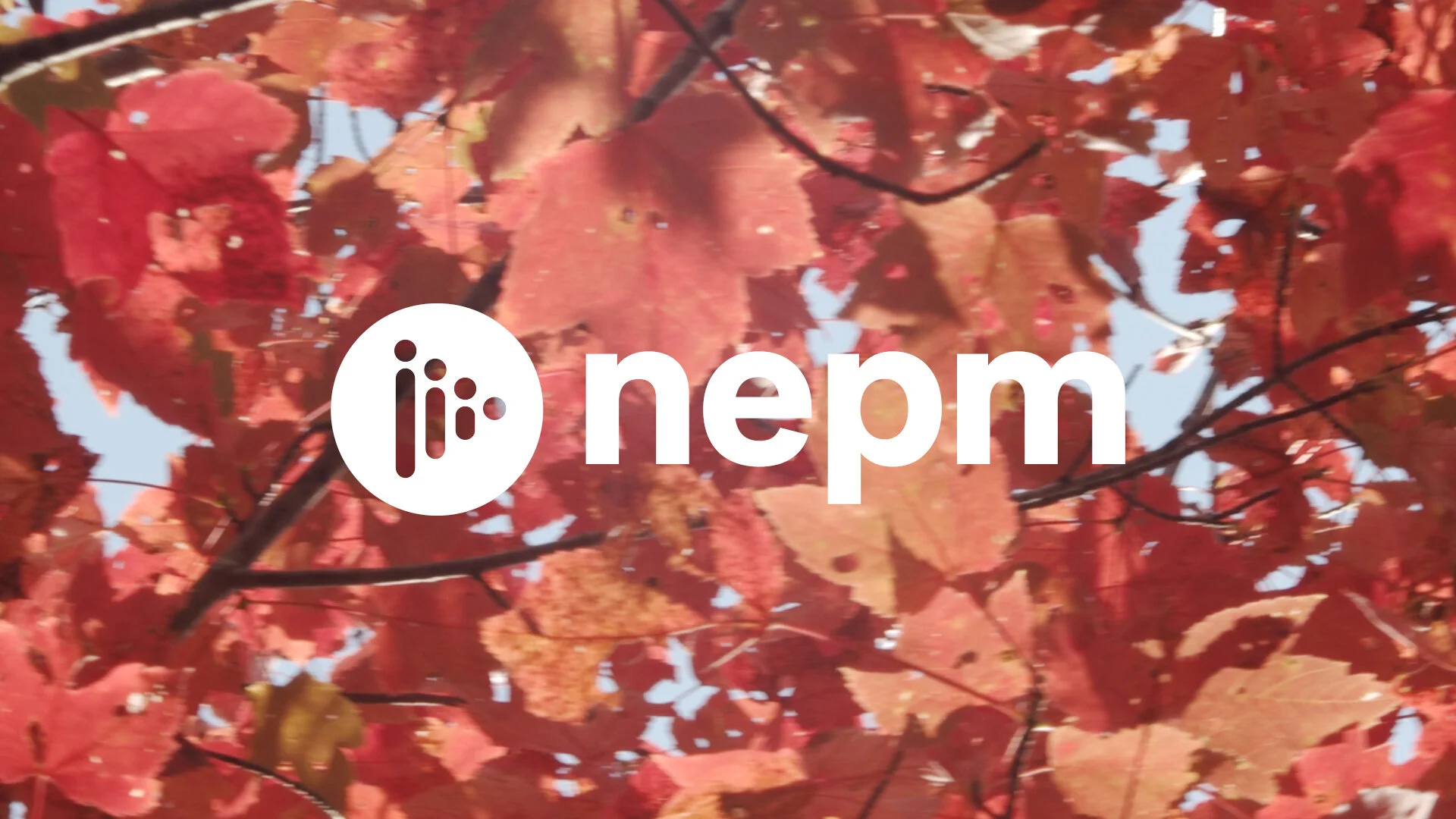 NEPM_wordmark_motionID_MAIN_FINAL.00_00_02_07.Still002.jpg