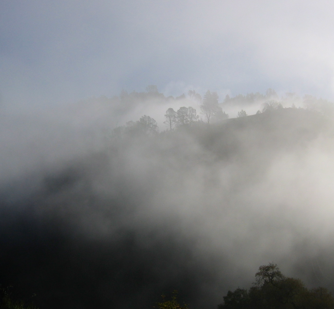 Five Element Qi Gong - 3 Week Series