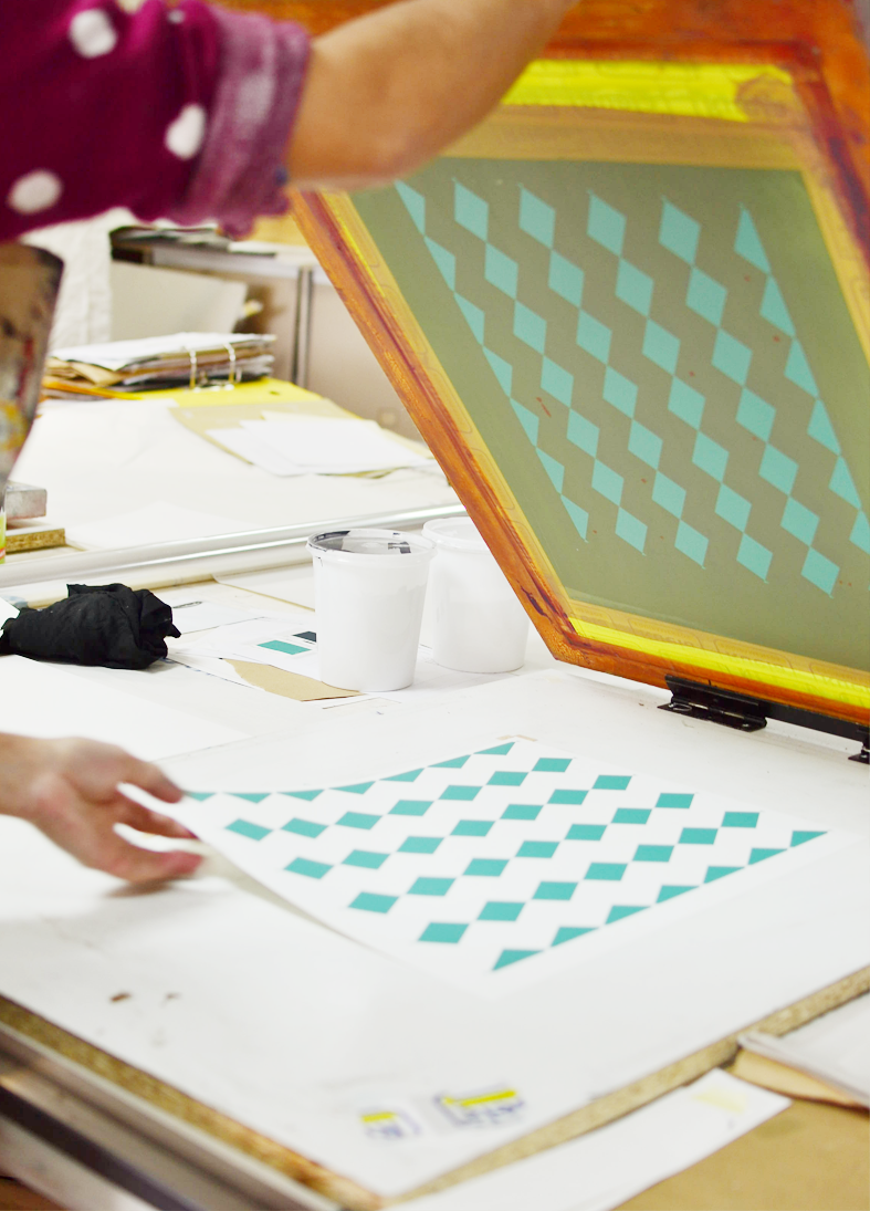 screen print beija-flor