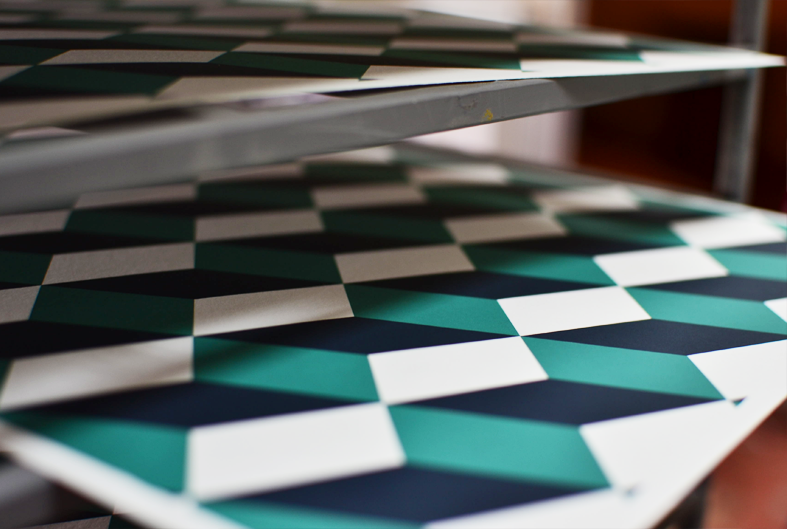 screen print beija-flor