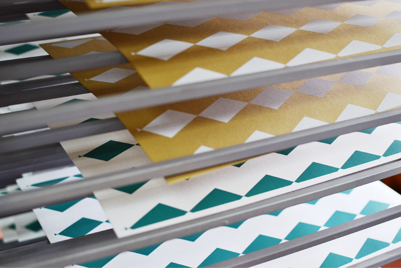 serigrafias beija-flor