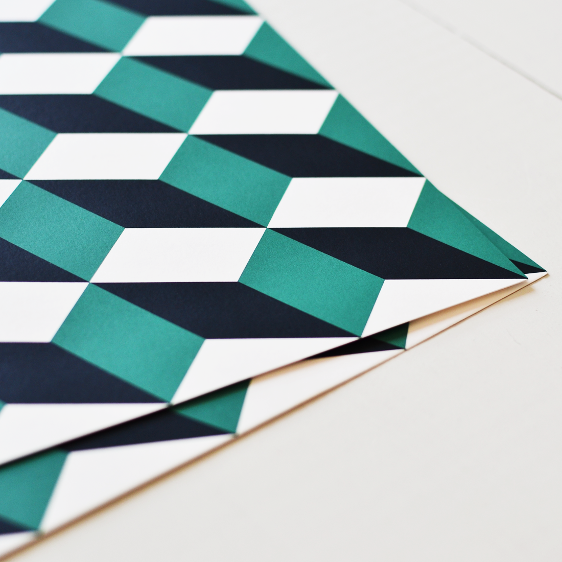 beija-flor screen print