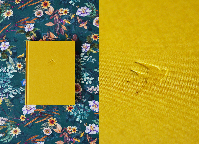 andorinhas beija-flor