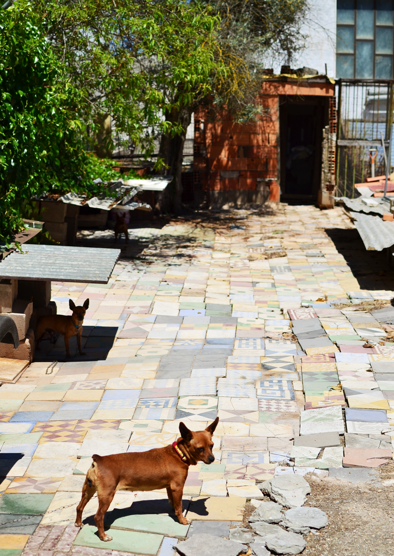 Mosaico hidráulico zagalo