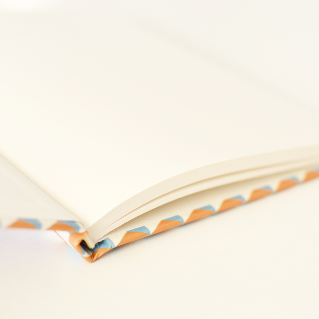 hardcover notebook beija-flor