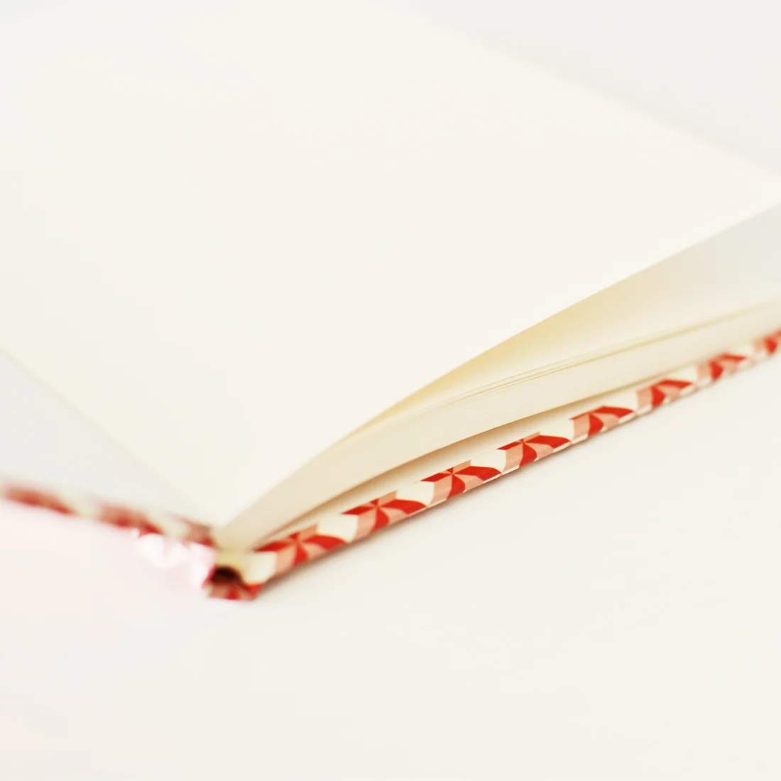 hardcover notebook beija-flor