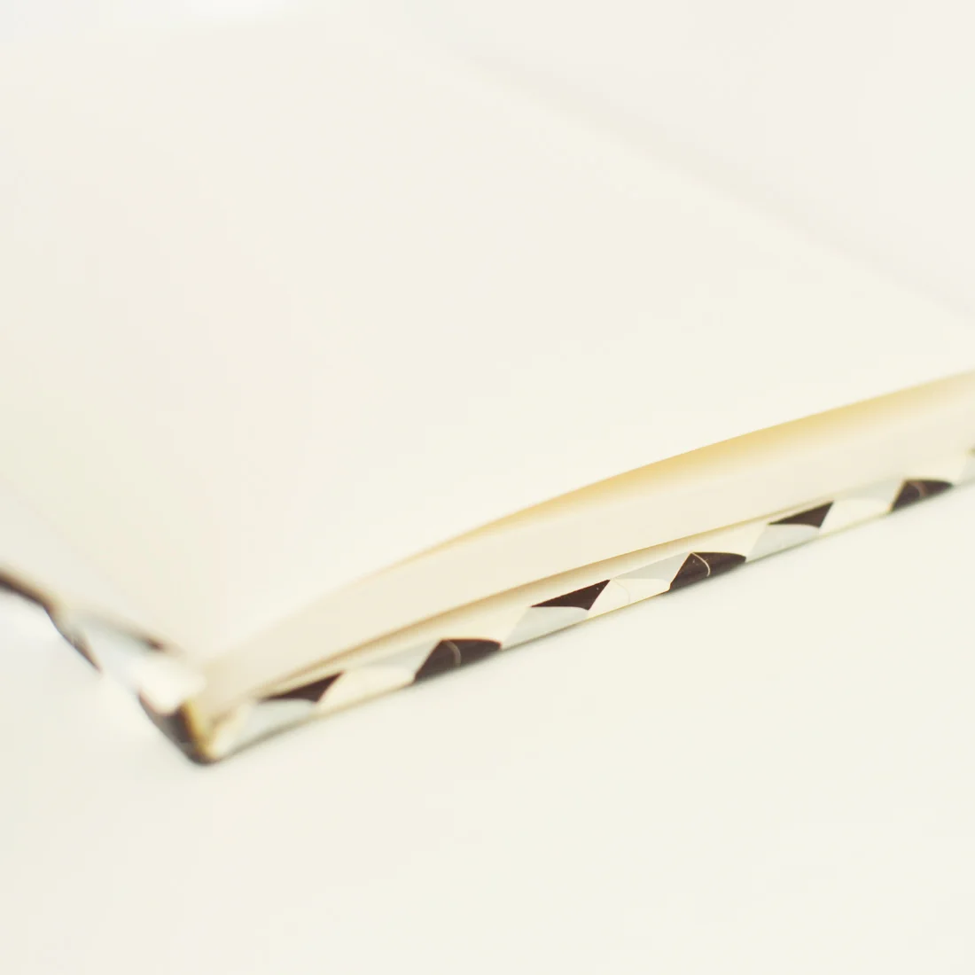 caderno capa dura beija-flor