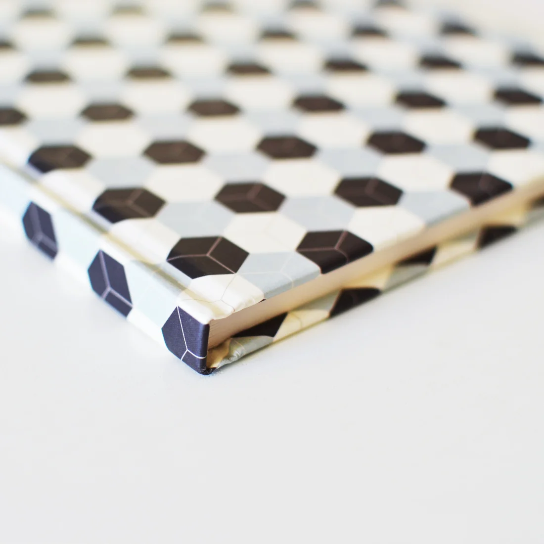 caderno capa dura beija-flor