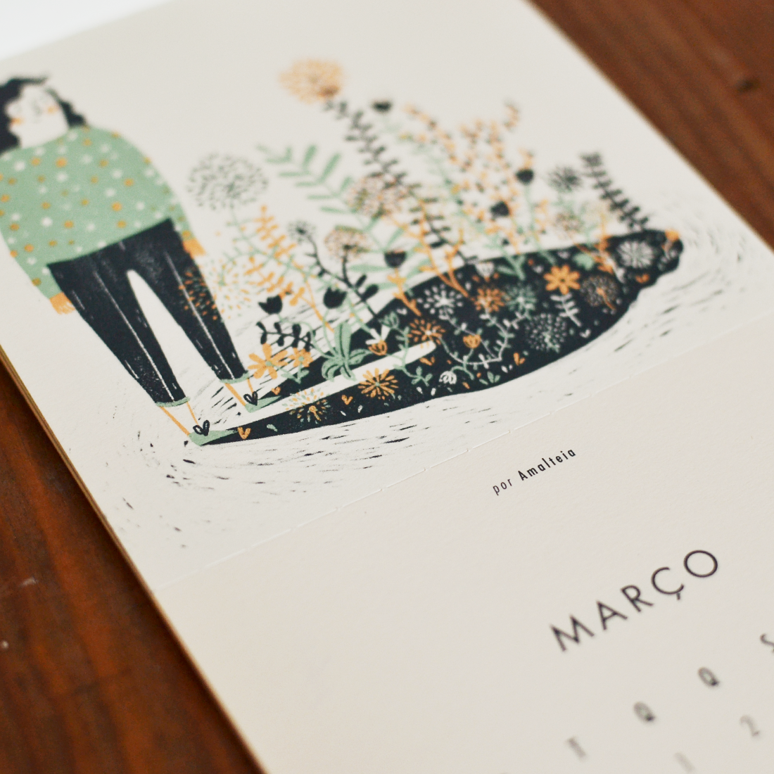 calendário beija-flor 2017 Amalteia