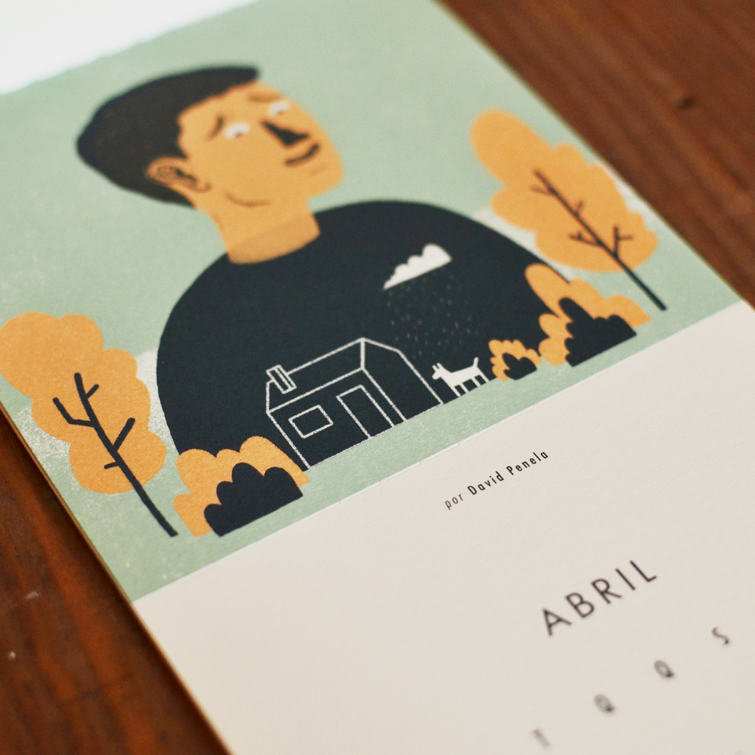 calendário beija-flor 2017 David Penela