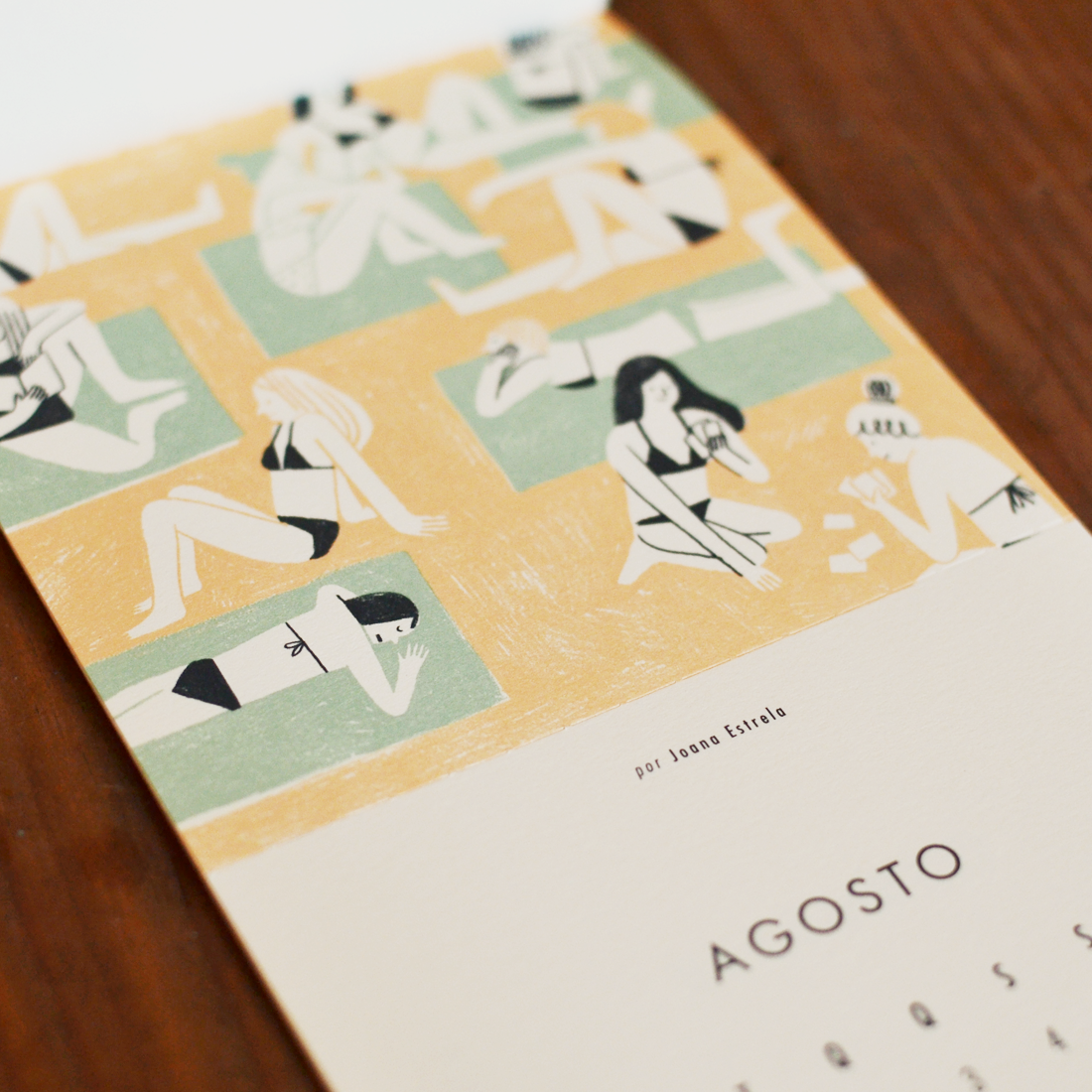 calendário beija-flor 2017 Joana Estrela