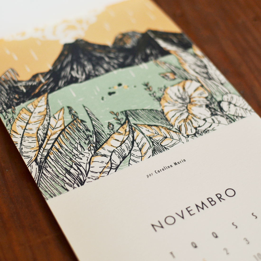 calendário beija-flor 2017 Carolina Maria