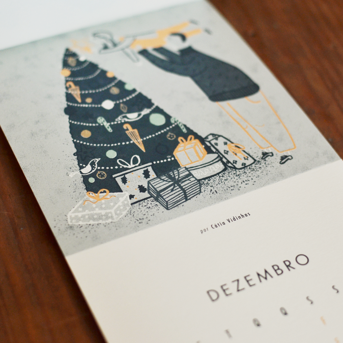 calendário beija-flor 2017 Cátia Vidinhas