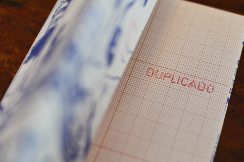 workshop beija-flor na vida portuguesa