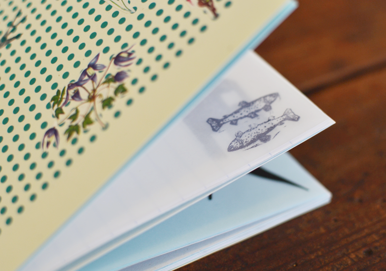 workshop beija-flor na vida portuguesa