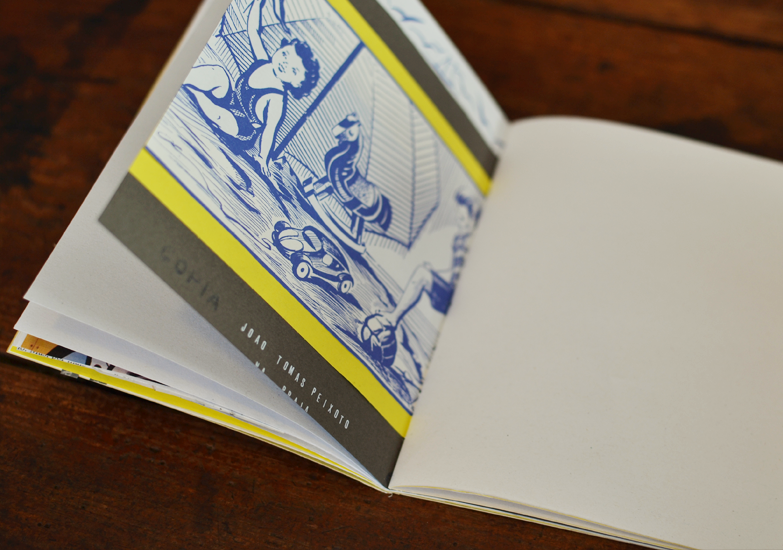 workshop beija-flor na vida portuguesa