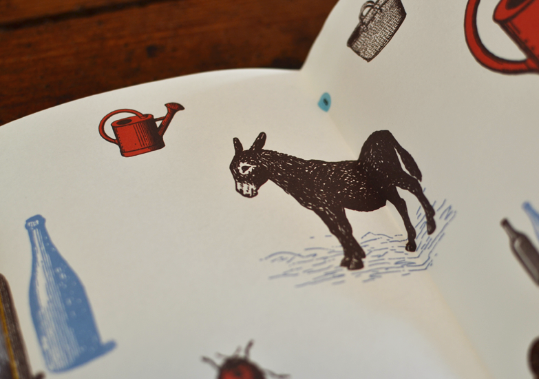 workshop beija-flor na vida portuguesa