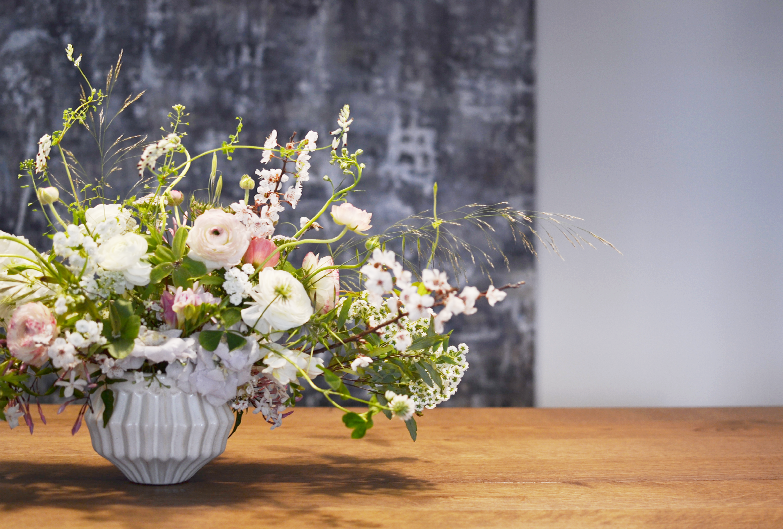 beija-flor em Lisboa