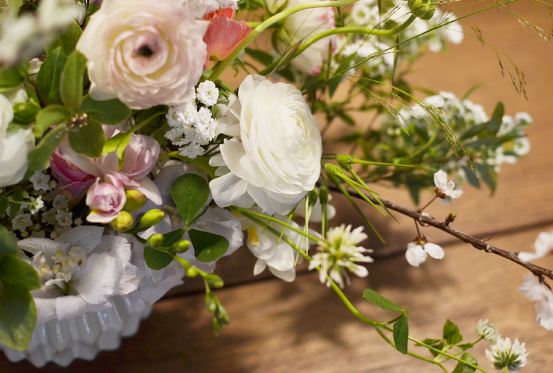 beija-flor em Lisboa