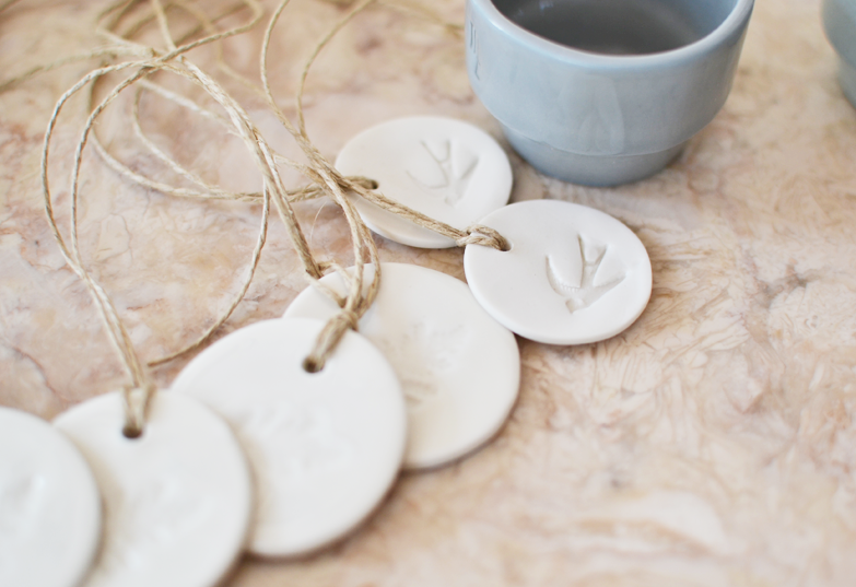 beija-flor em Lisboa