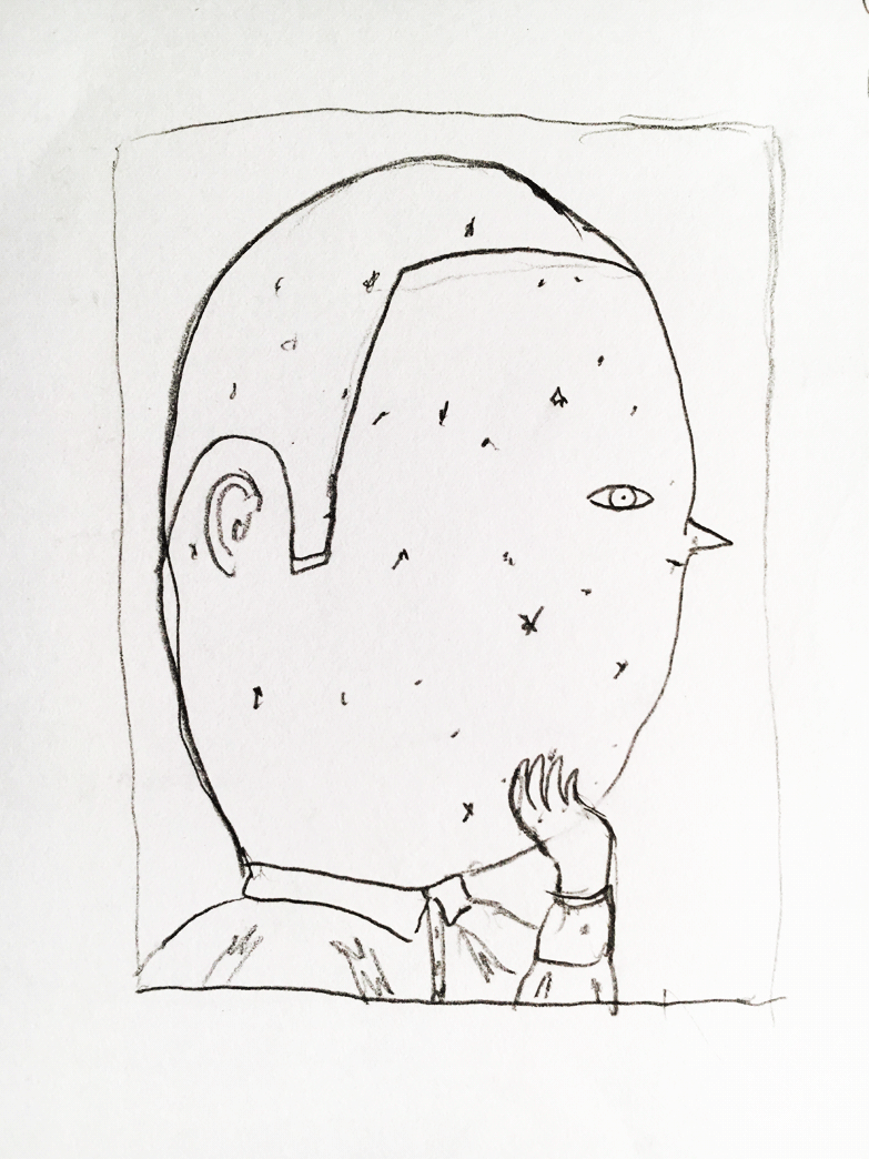 diary beija-flor mariana a miserável