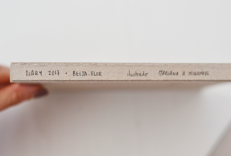 beija-flor diary process