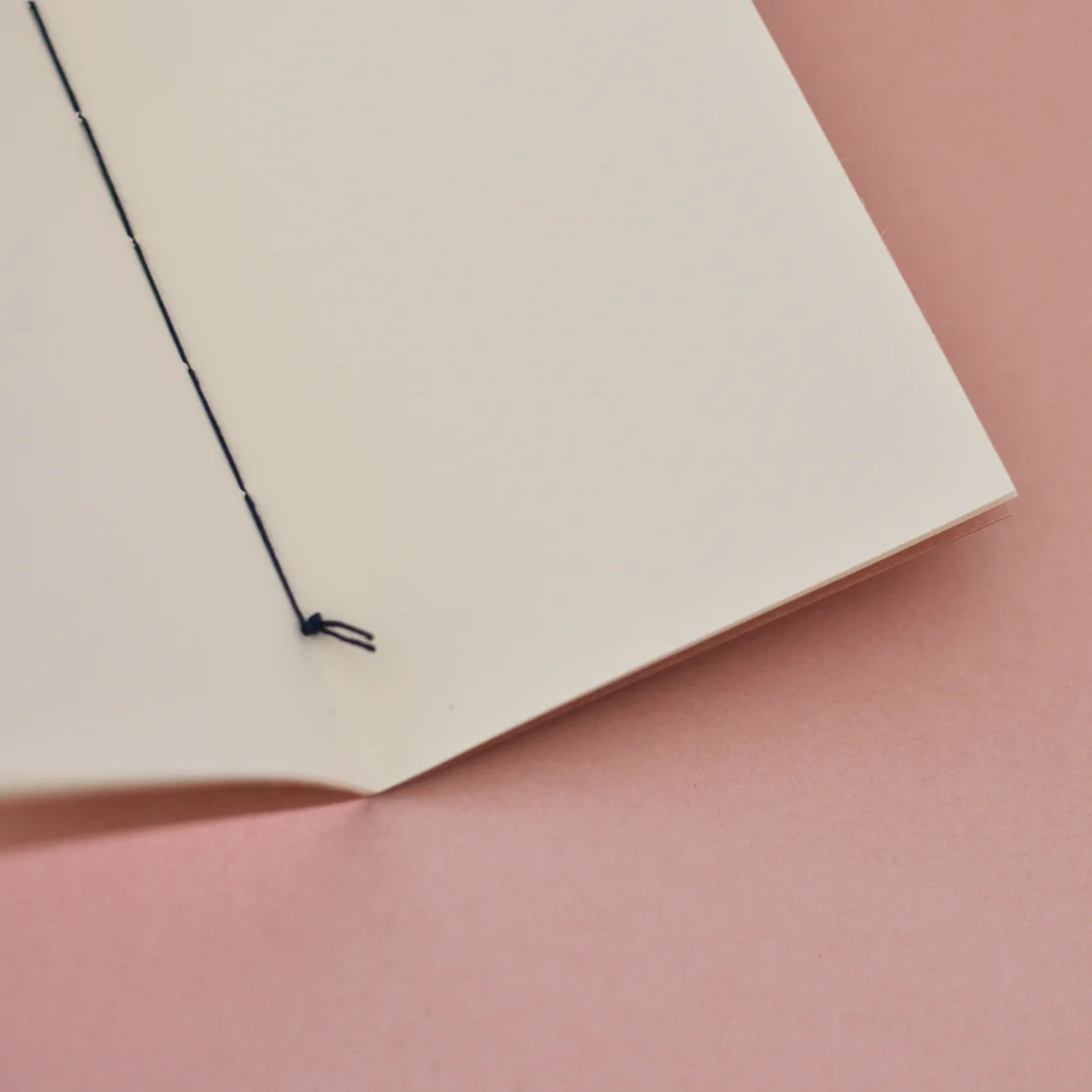 cadernos clássicos beija-flor