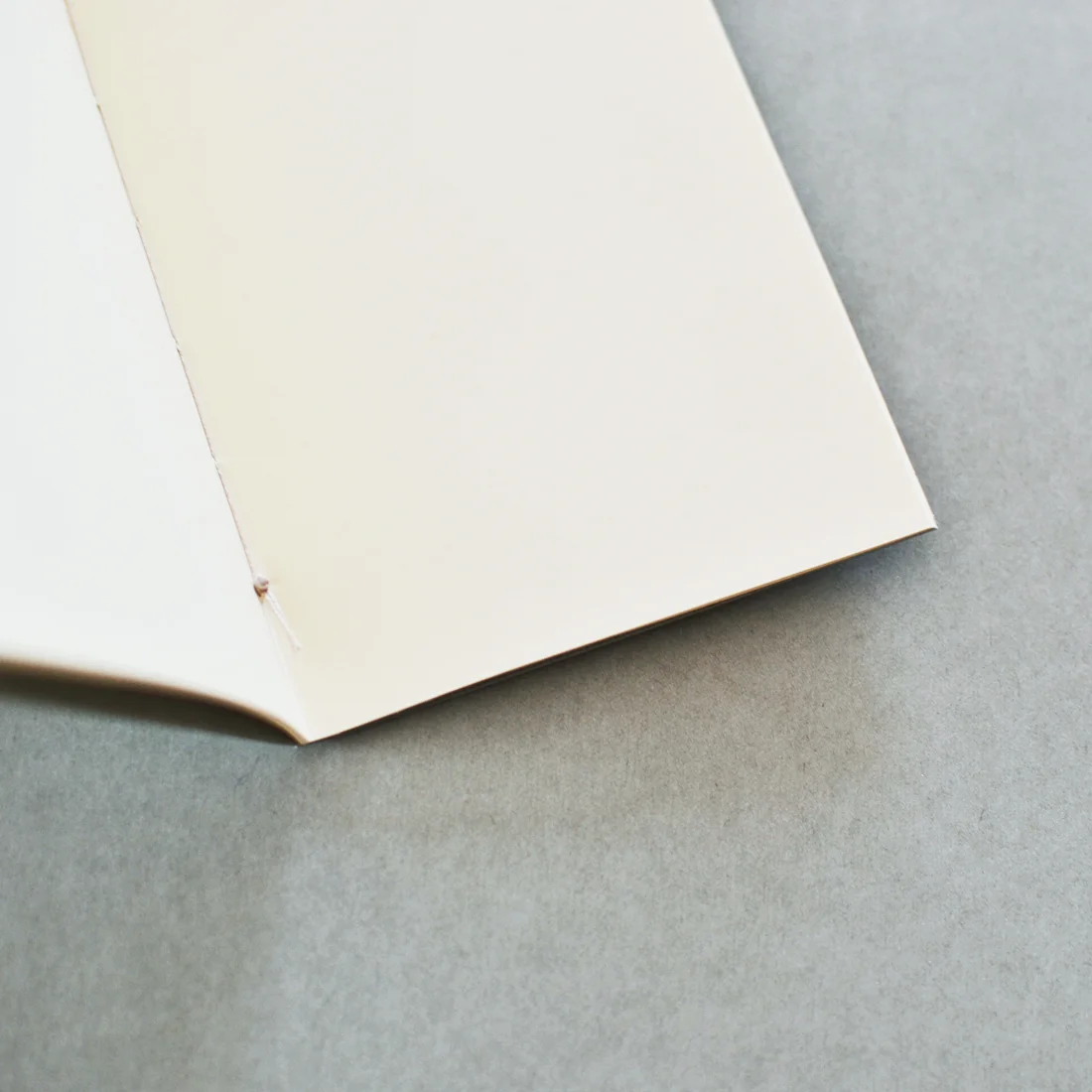 classicos beija-flor