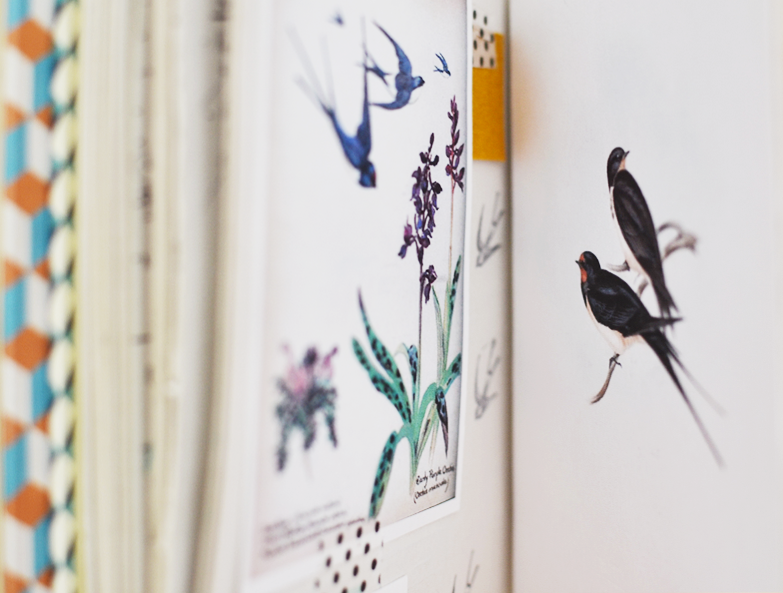 Estudos da coleção de cadernos de capa dura - andorinhas.  Studies for the collection of hardcover notebooks – andorinhas/swallows.