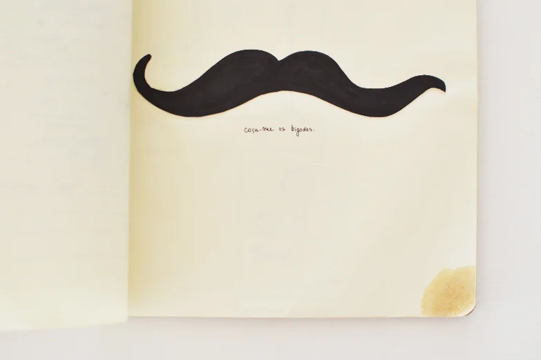 diários su beija-flor