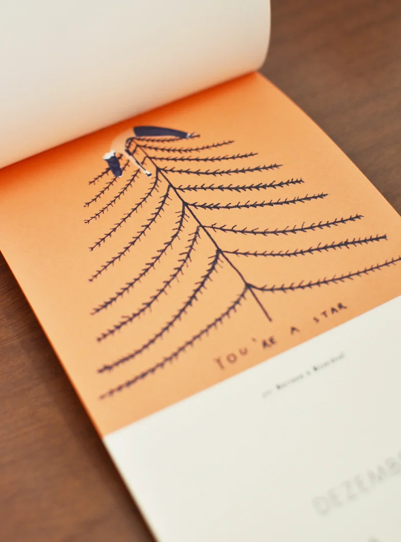 Dezembro, ilustrado por Mariana a Miserável /  December, illustrated by Mariana a Miserável