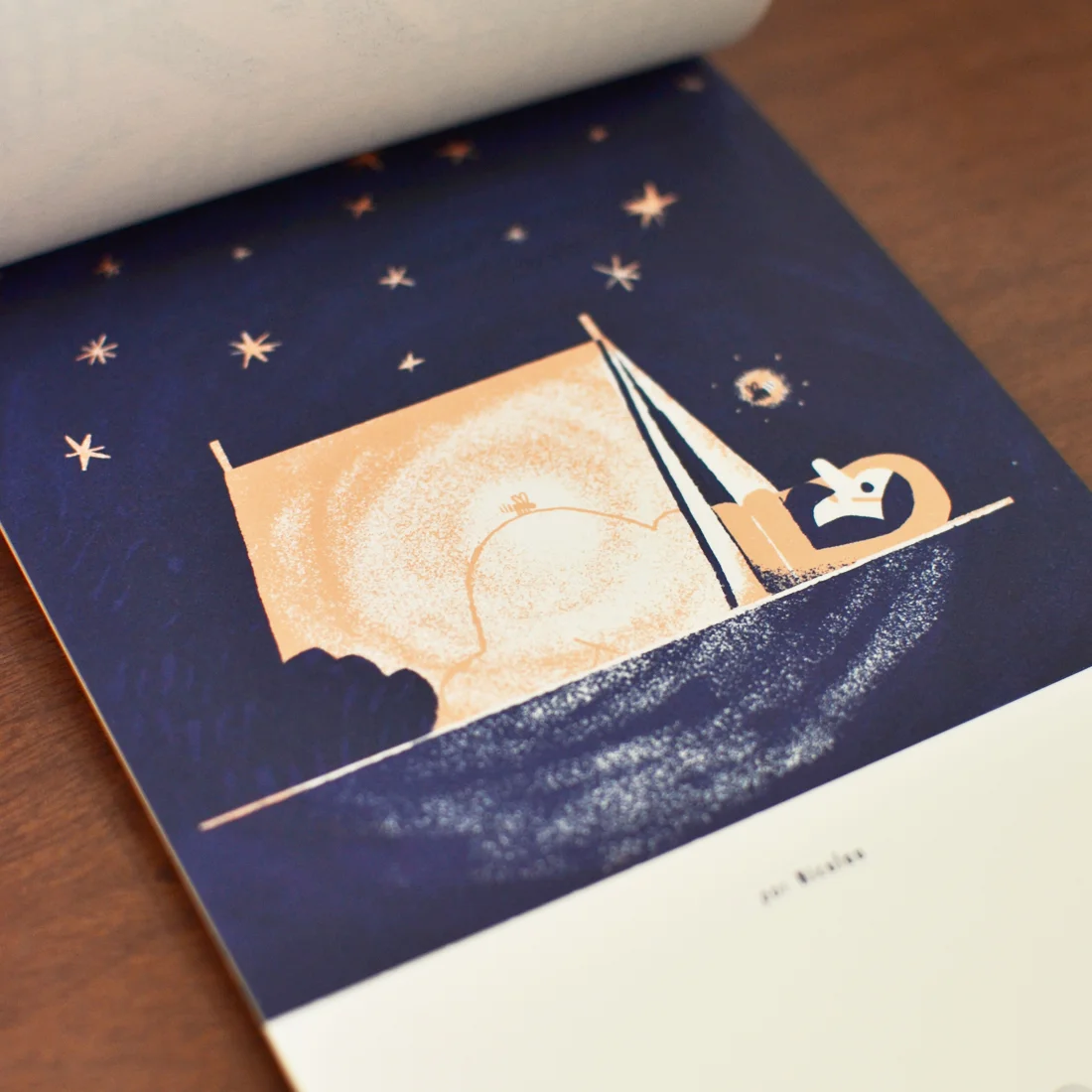 calendário beija-flor 2018