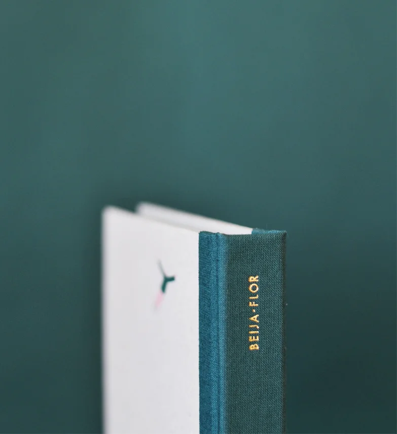 diary beija-flor 2 andré letria