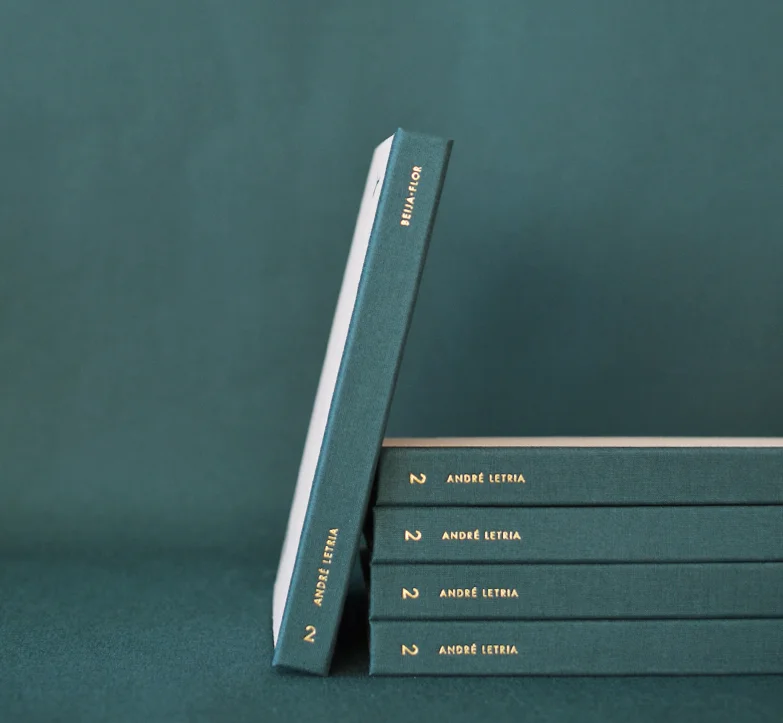 diary beija-flor 2 andré letria